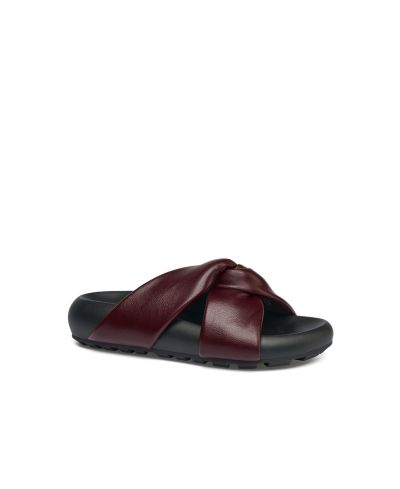 Burgundy leather