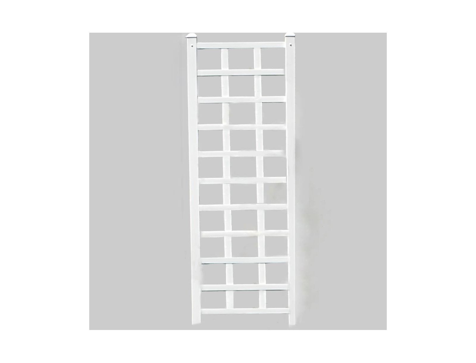 Decorative Wall Trellis for Climbing Plants and Outdoor Garden Decor