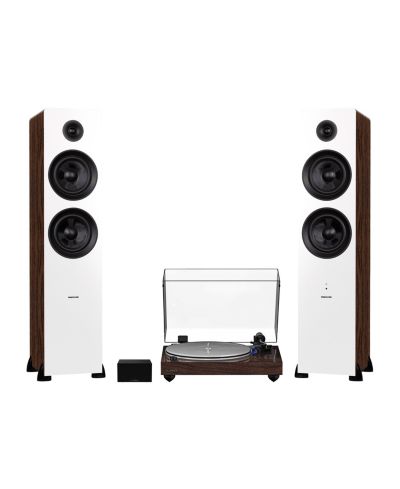 Walnut / white walnut