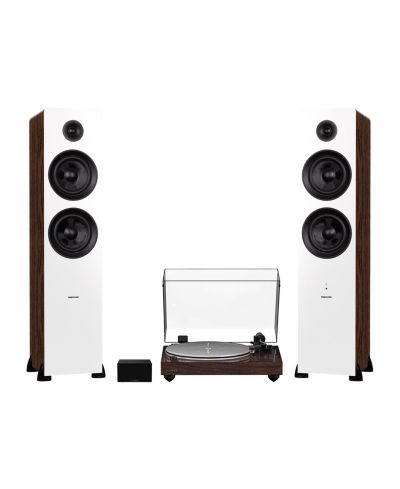 Walnut / white walnut