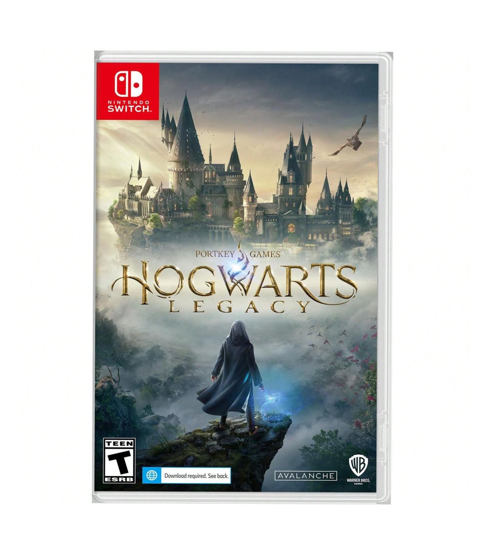 Hogwarts Legacy для Nintendo Switch