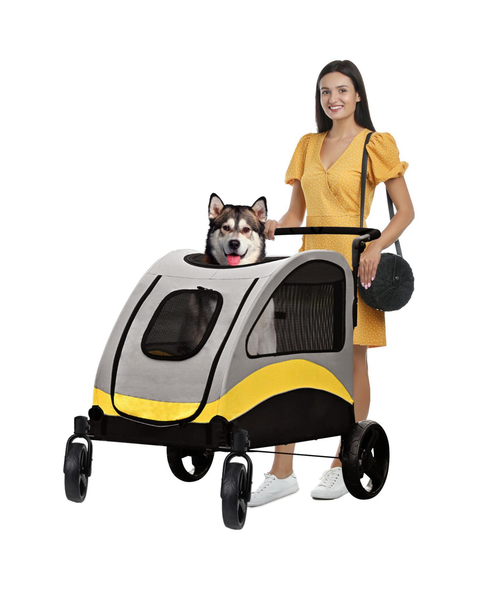 BINGOPAW 4 Wheel Foldable Large Capacity Pet Travel Stroller