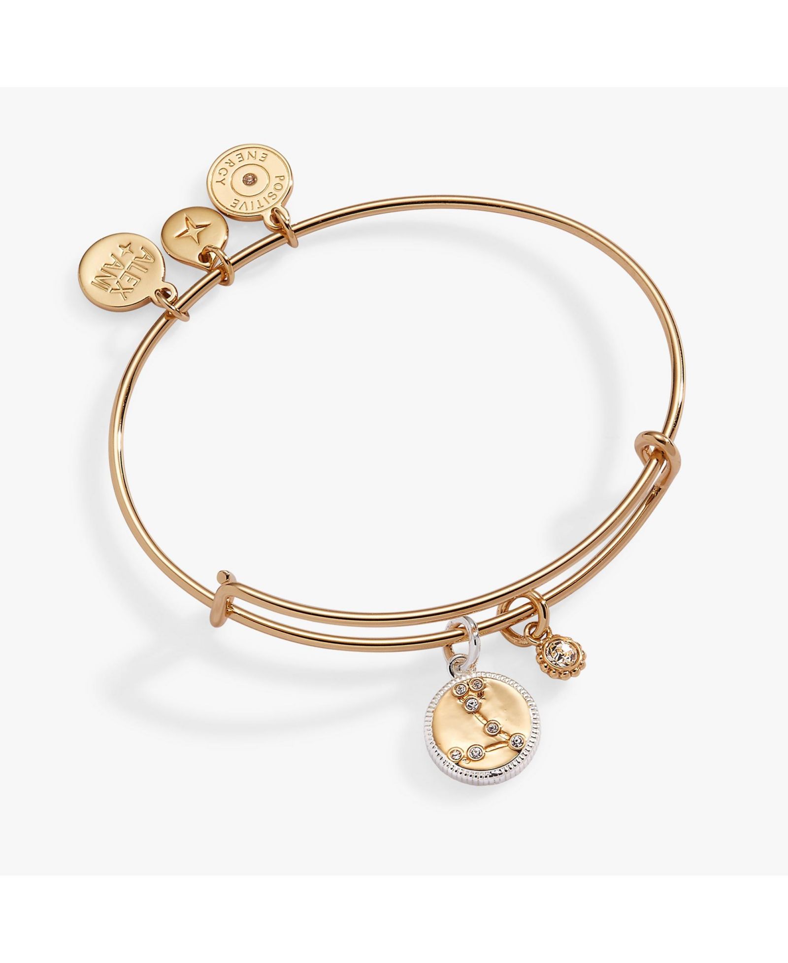 Alex and Ani браслет-бэнгл Zodiac Pisces