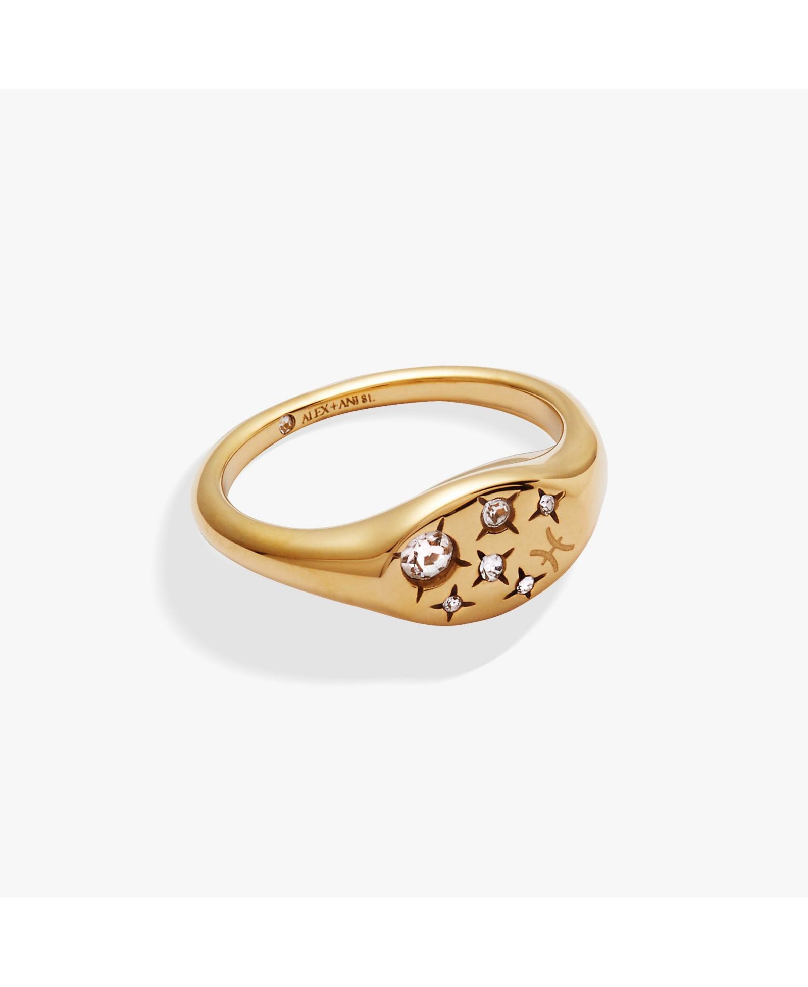 Zodiac Ring Pisces