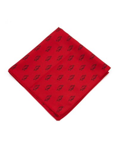 Eagles Wings Arkansas Razorbacks Kerchief Pocket Square