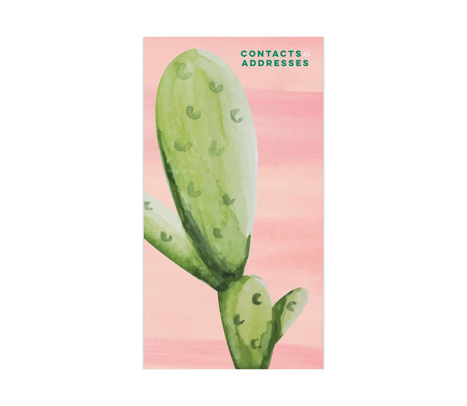 Адресная книга Cactus