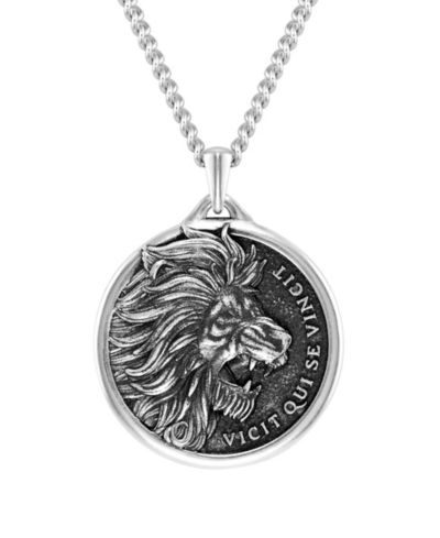 The lion