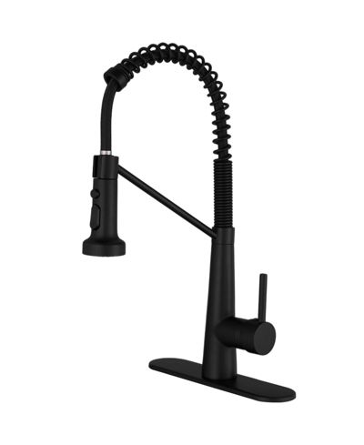 Greenspring Single-Handle Pull-Down Sprayer 2 Spray High Arc Kitchen Faucet With Deck Plate
