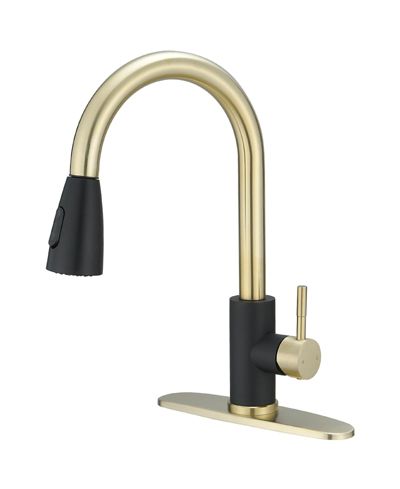 Greenspring Кухонный смеситель с выдвижным распылителем Matte Black и Brushed Nickel