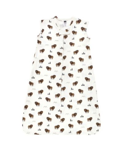 Wild buffalo