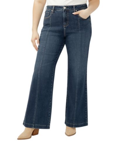 Джинсы Silver Jeans Co. Plus Size Avery High Rise Curvy Fit