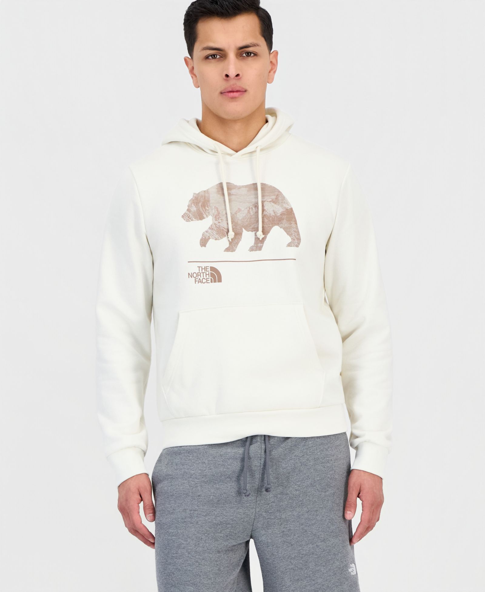 Мужская толстовка The North Face Evolution Mountain Bear