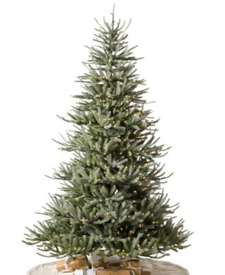 Balsam Hill 6' Pre-Lit Sanibel Spruce®  LEDC Artificial Christmas Tree