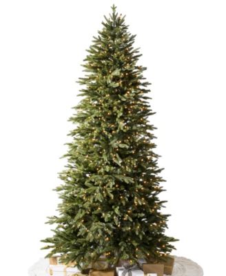 Balsam Hill Pre-Lit 6' Silverado Slim® LEDC Artificial Christmas Tree