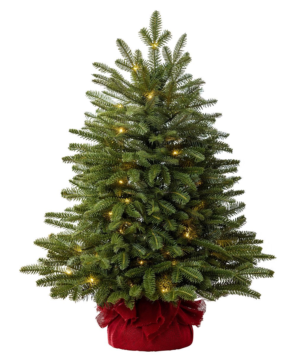 Balsam Hill 2.5' Pre-Lit BH Fraser Fir® Tabletop Tree
