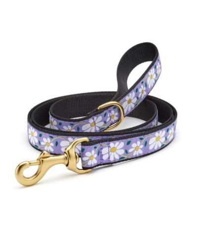 Up Country Daisy Dog Lead