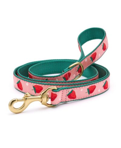 Up Country Fields Dog Lead