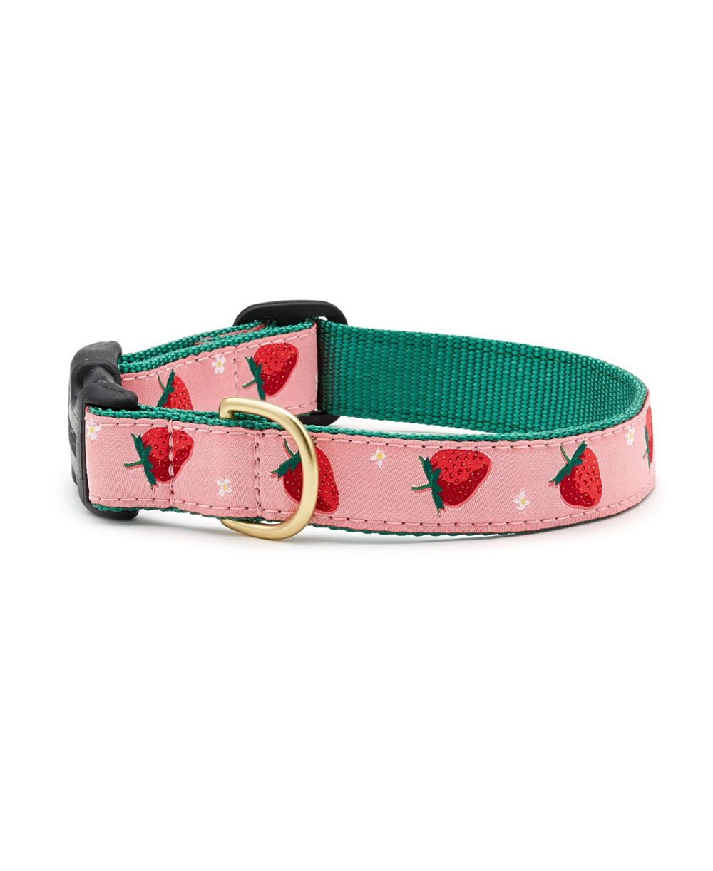 Ошейник для собак Up Country Strawberry Fields