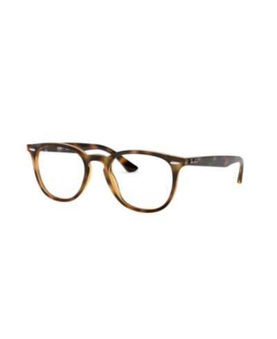 Очки Ray-Ban Unisex Panthos Plastic RB7159
