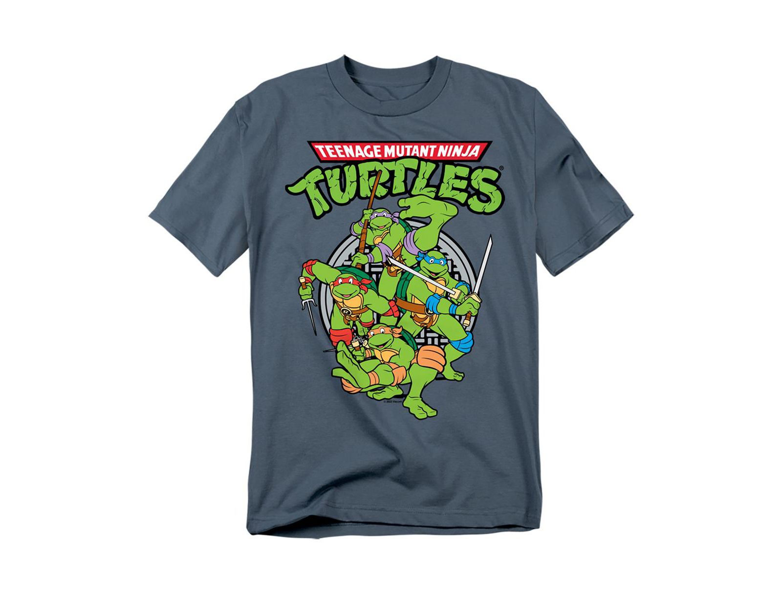Teenage Mutant Ninja Turtles Men's TMNT Group T-Shirt
