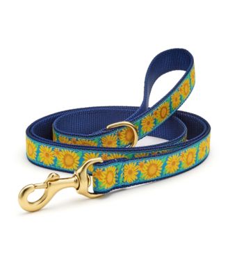Up Country Bright Sunflower Dog Lead