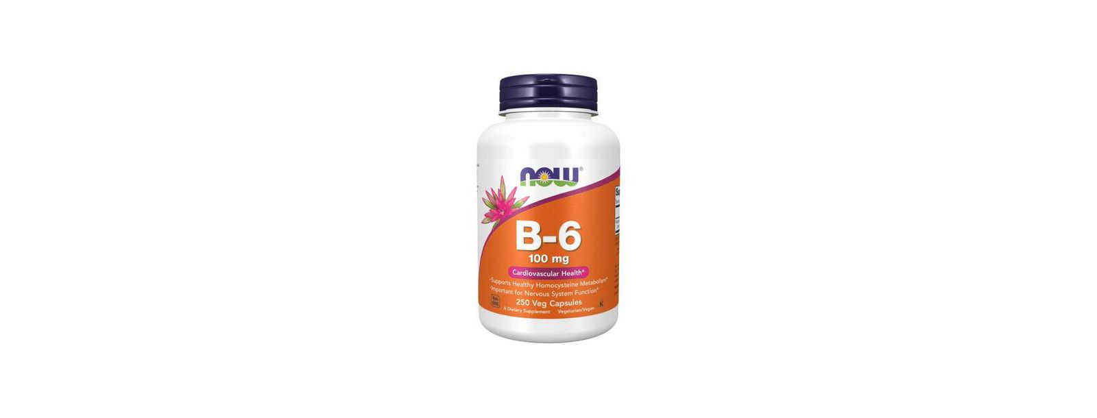 NOW Foods B-6, 100 mg, 250 капс.