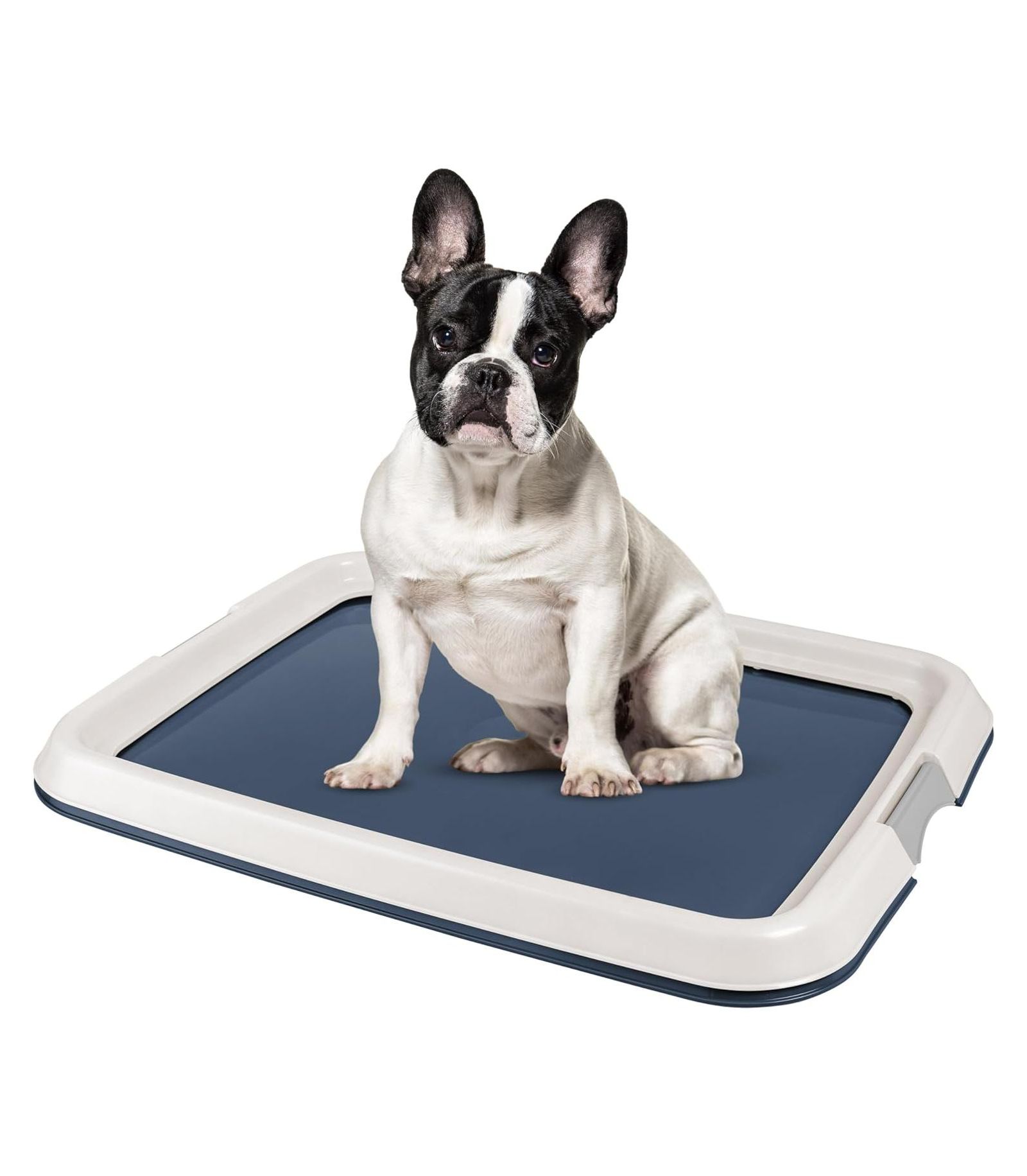 IRIS USA Pee Pad Holder, Fits 17"x24" or Larger, Medium, Puppy Dog Pad Hoder, Secured Latches, Non-Skid Rubber Feet, High Polish Finish