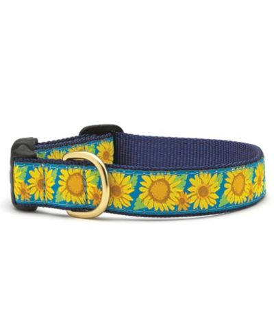 Up Country Bright Sunflower Dog Collar