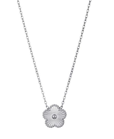 Подвеска-ожерелье ADORNIA Silver Five-Leaf Clover