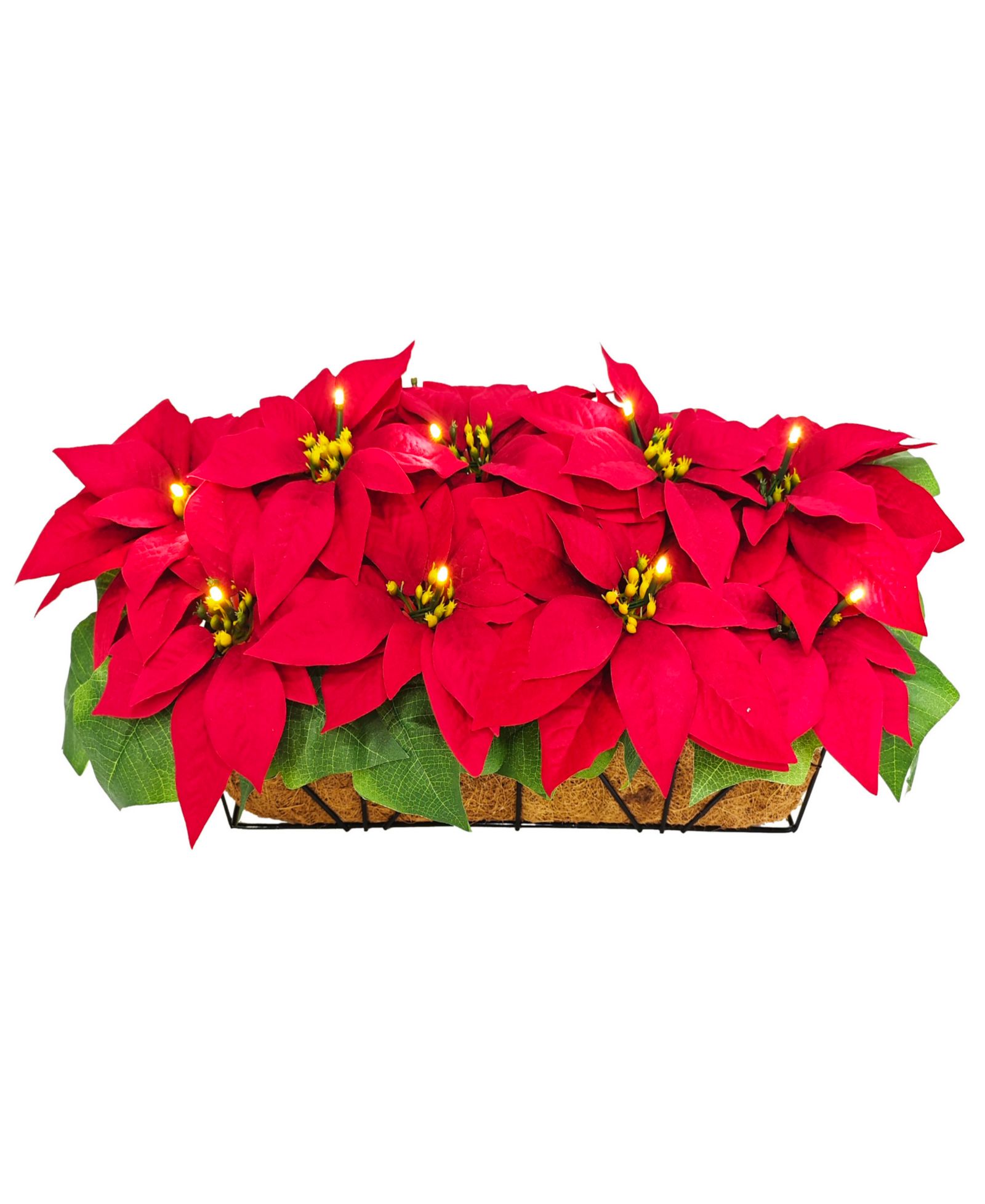 Puleo 24" Pre-Lit Artificial Red Poinsettia Window Box Décor