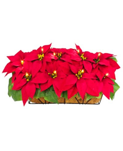 Декор для окна Puleo 24" Pre-Lit Artificial Red Poinsettia