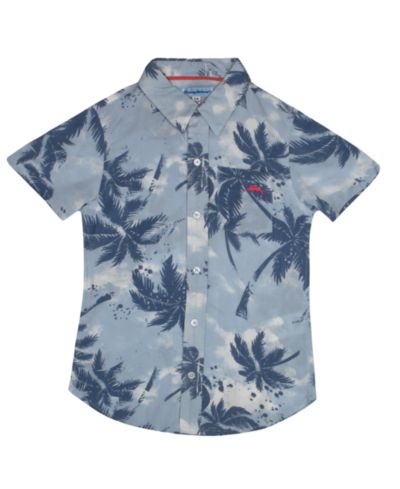 Blue palms