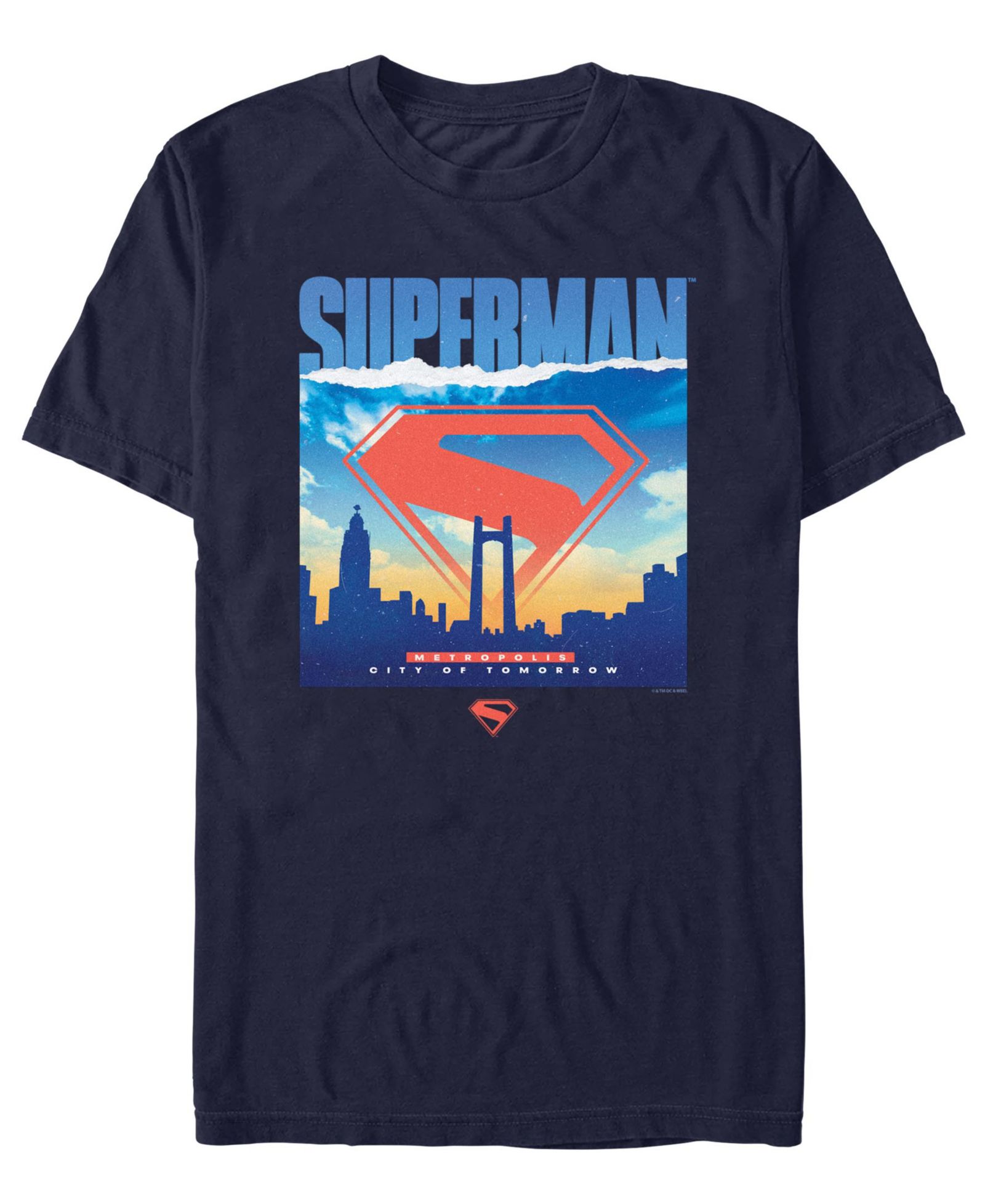 Fifth Sun Men's Superman 2025 Crewneck T-Shirt