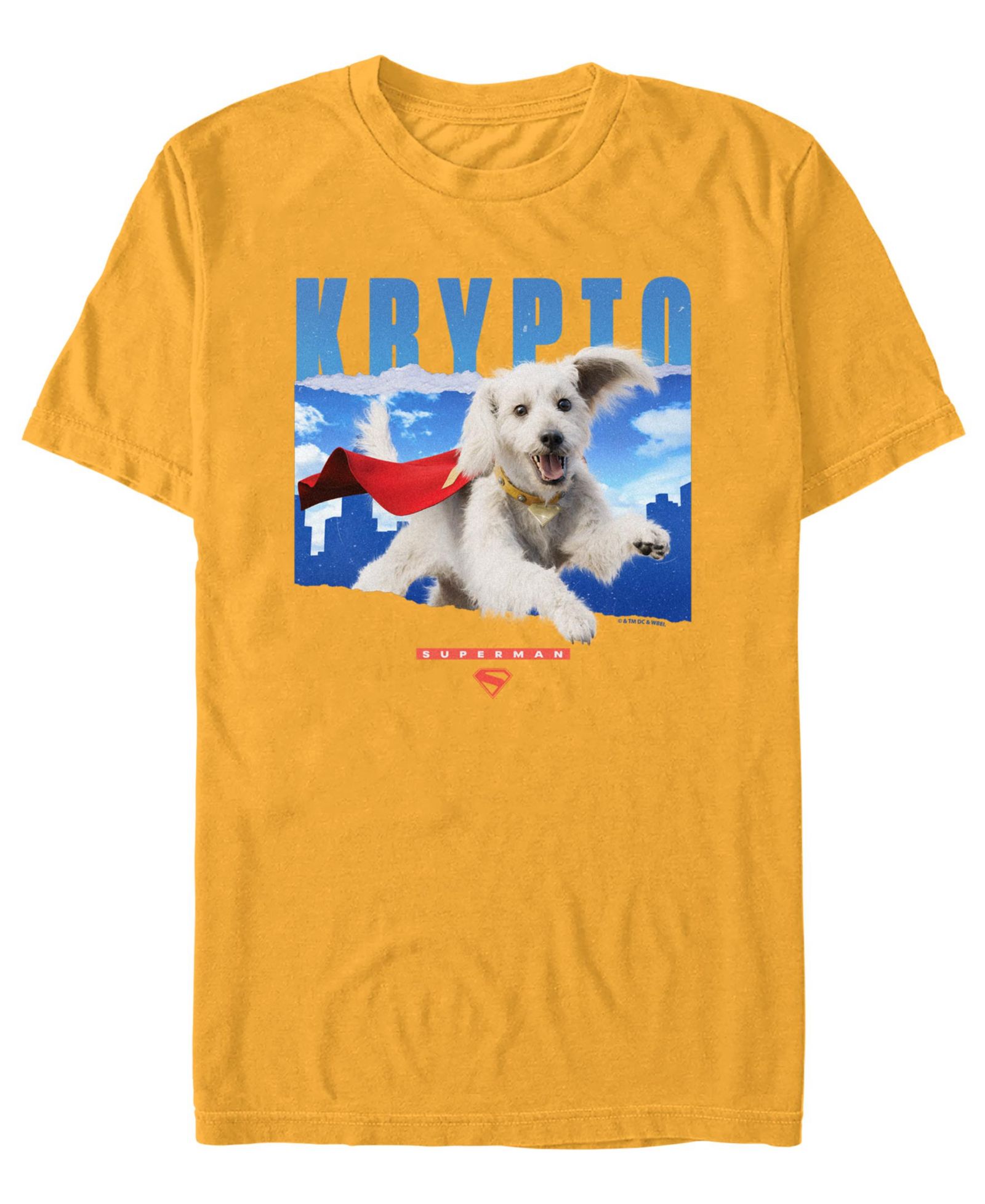 Fifth Sun Men's Superman 2025 Krypto Crewneck T-Shirt