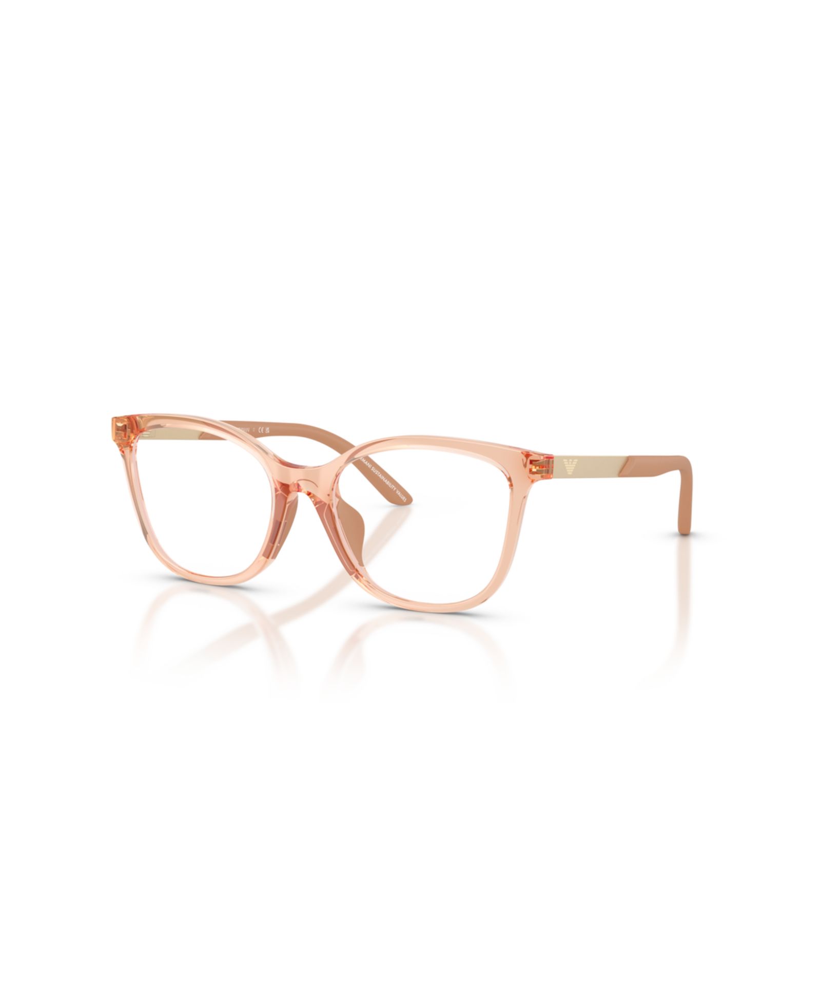 Очки Emporio Armani Kids Cat Eye Plastic EK3011U (возраст 07-10 лет)