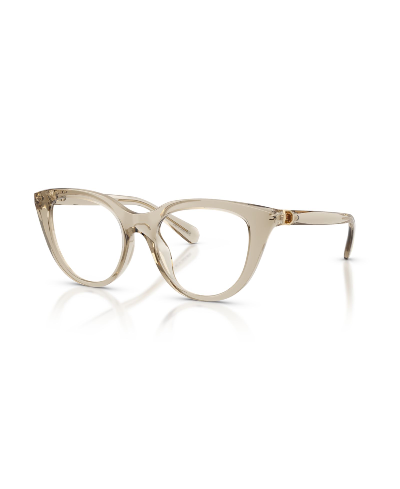 Очки Swarovski Woman Cat Eye, пластик, SK2052