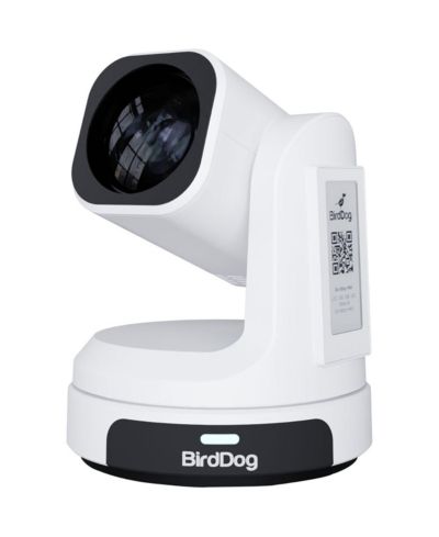 Birddog Max 12X 4K PTZ Camera