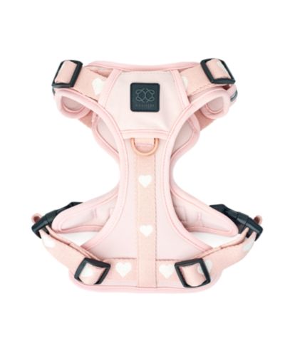 Dogistry The NoMad Adjustable Luxe Harness
