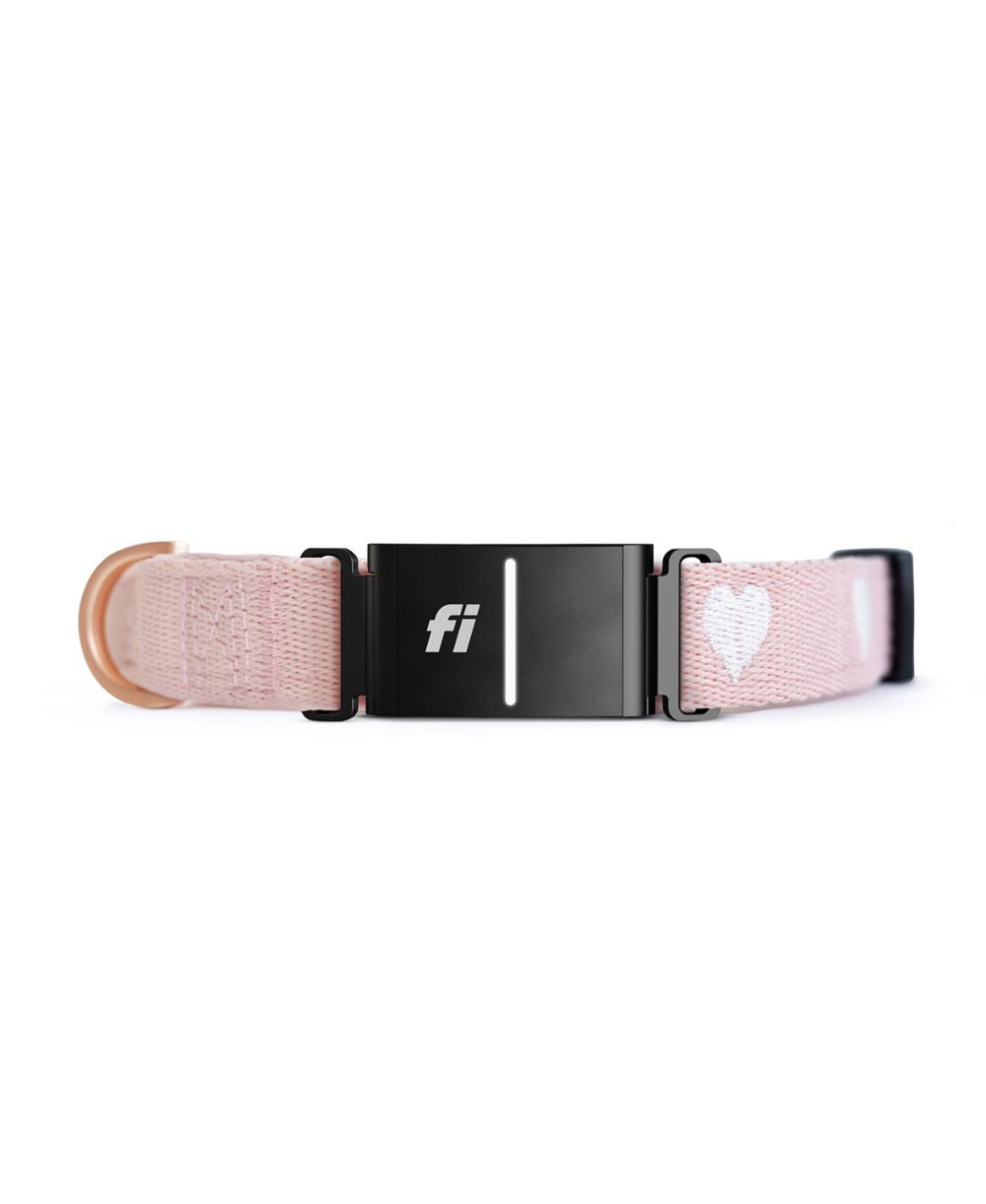 The DOGISTRY x Fi Sweetheart Ошейник