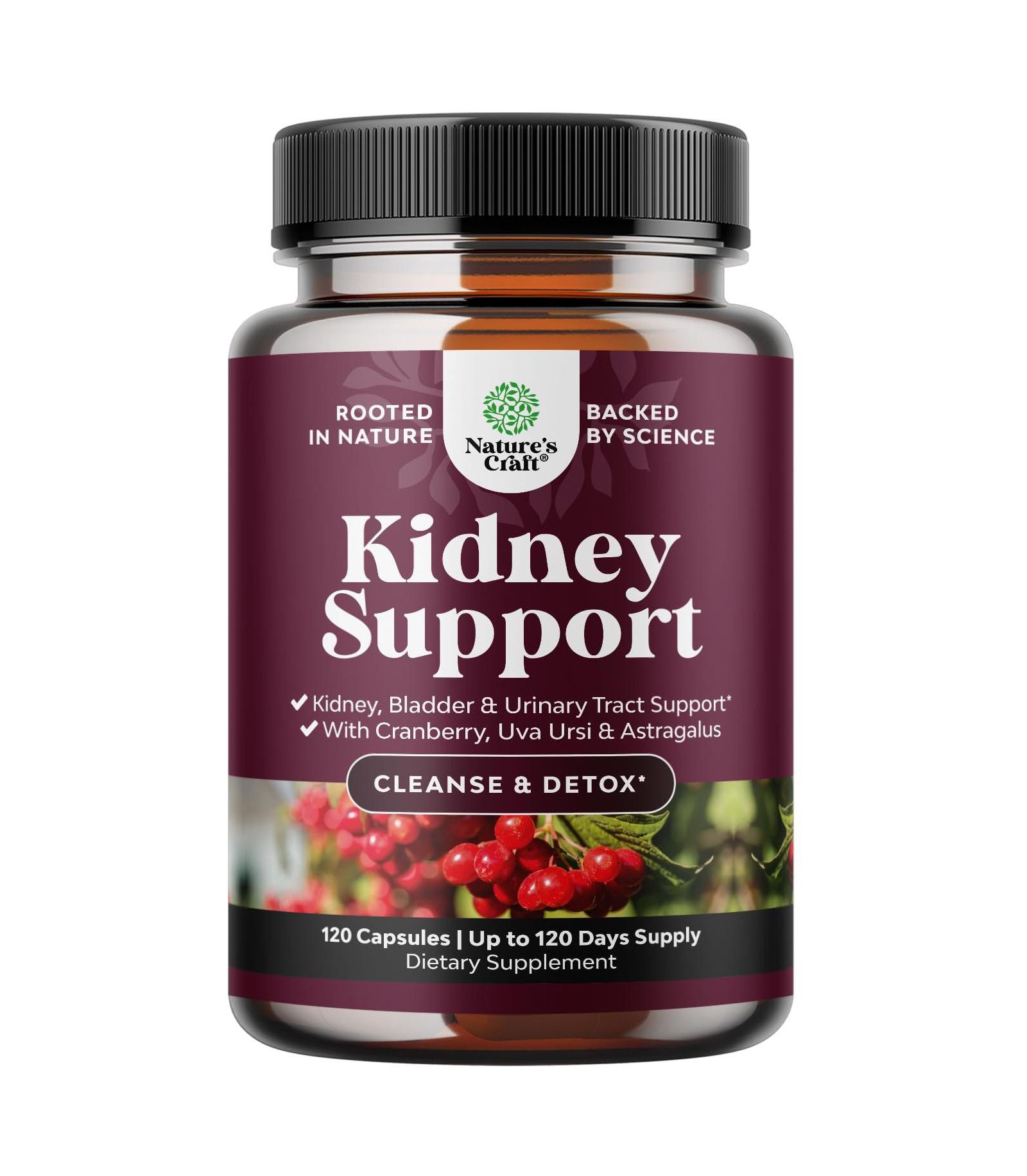 Nature's Craft Kidney Support, 120 шт