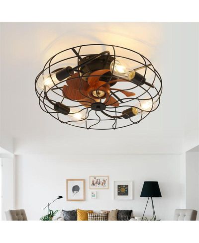 Sofucor 20 Inch 3 Blade Caged Ceiling Fan with Light, Remote Control, 6 Speed Adjustable and Timer Function
