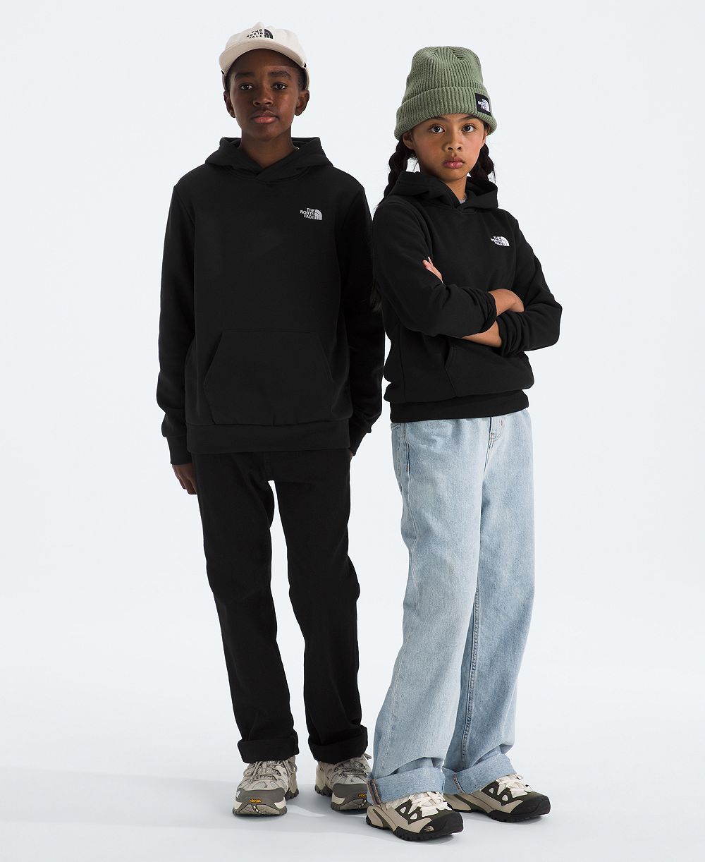 The North Face худи Evolution Simple Dome с длинным рукавом для мальчиков и девочек