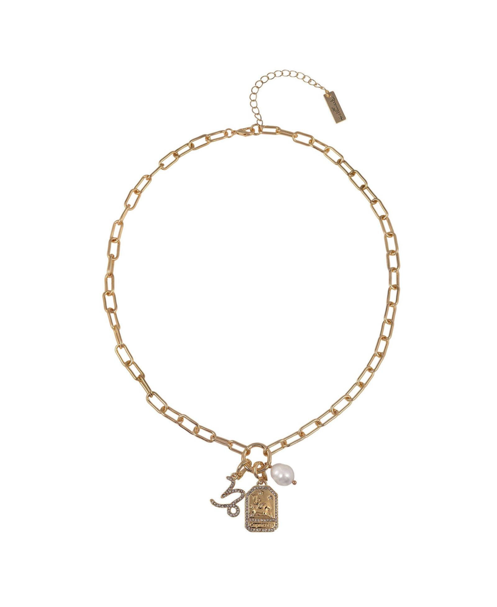 Подвеска Hallmark Capricorn - сила и стиль в одном