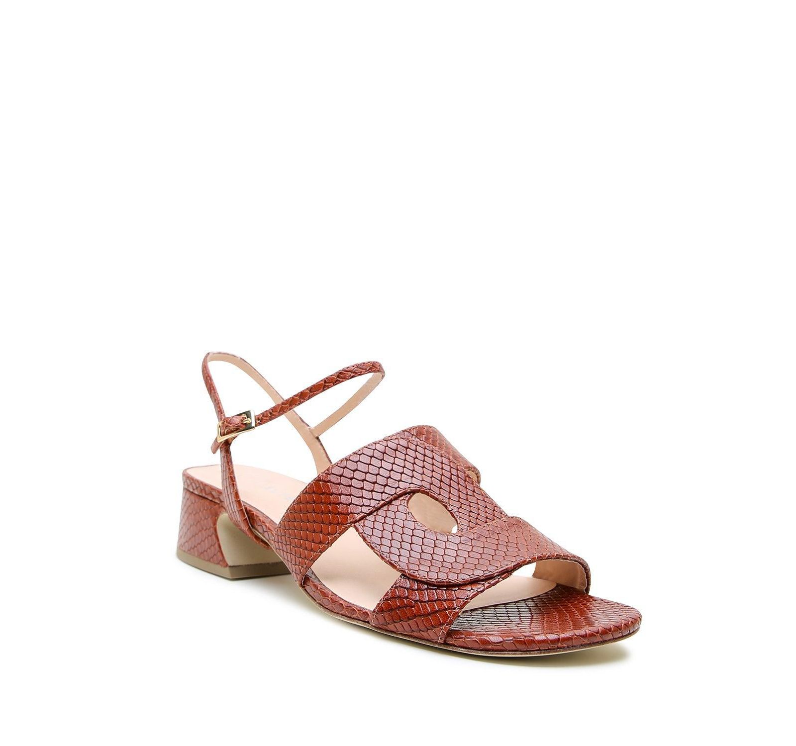 Женские сандалии Alterre Snake Amal Customizable