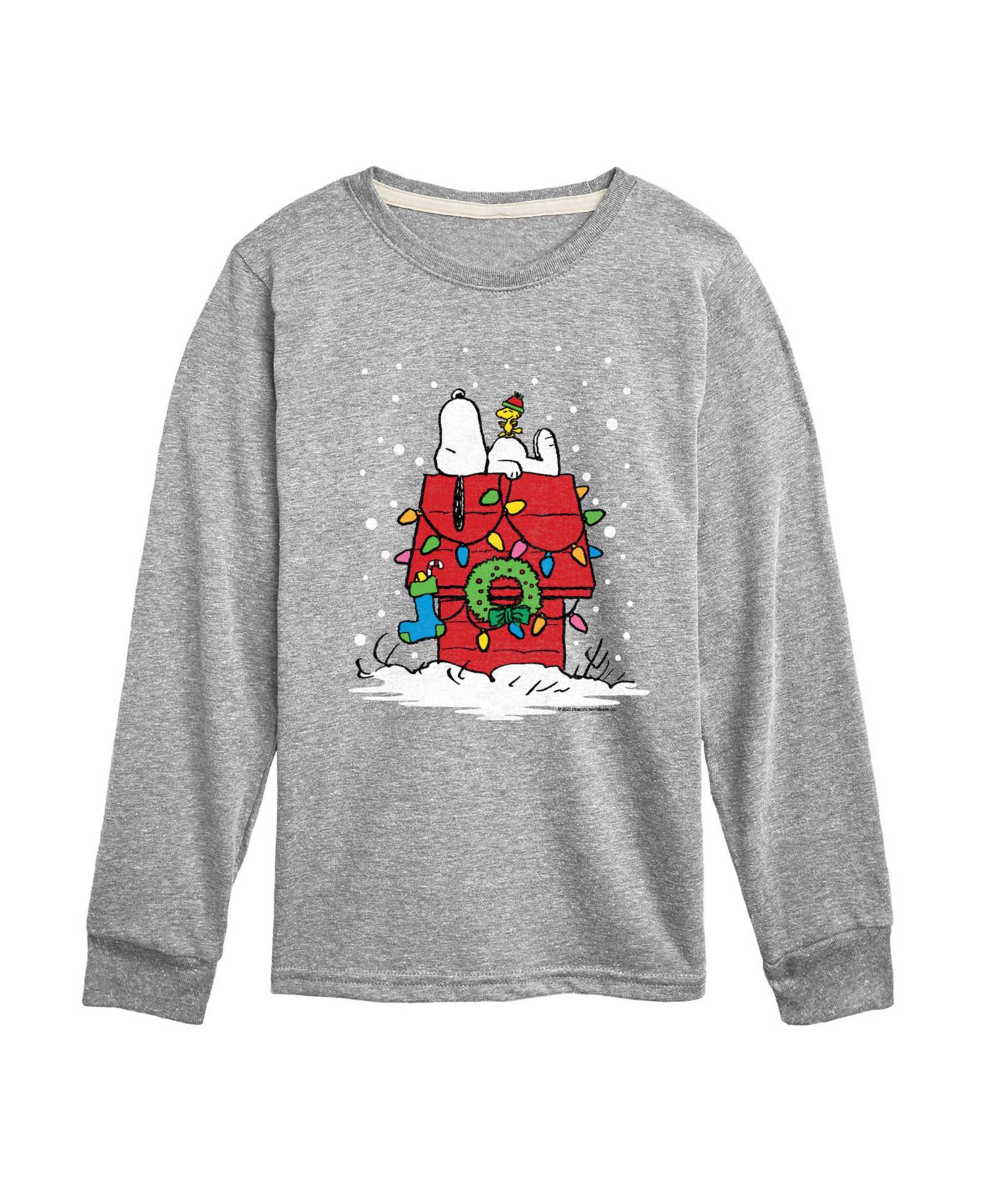 Футболка Peanuts Boys' 8-20 Snoopy Dog House Christmas Lights Graphic Long-Sleeve