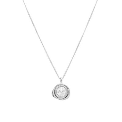 Silver - capricorn