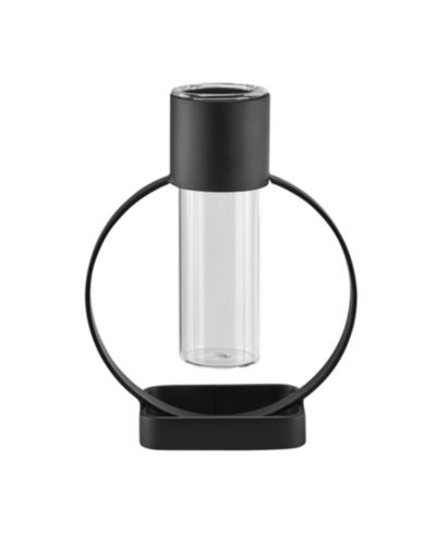 Danya B Jacob Modern Black Metal Open Circle Pedestal Clear Glass Tabletop Vase