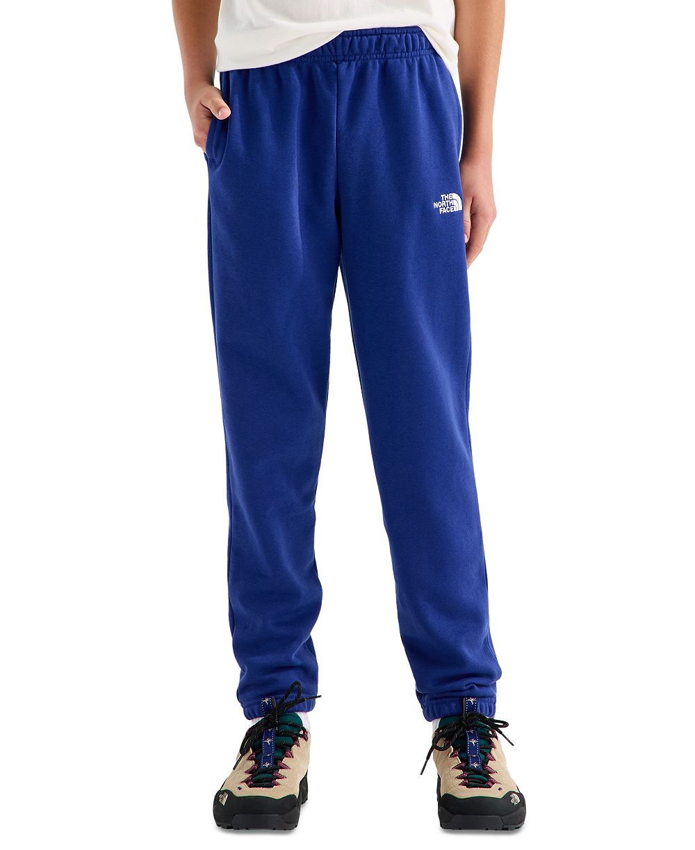 Брюки The North Face Evolution Simple Dome для мальчиков и девочек 7-20