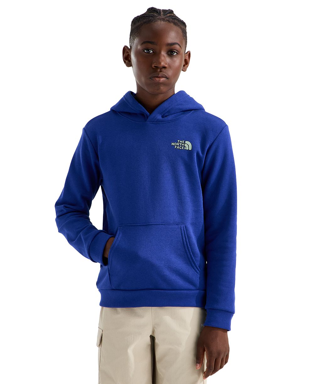 Худи с длинным рукавом The North Face для мальчиков и девочек 7-20
