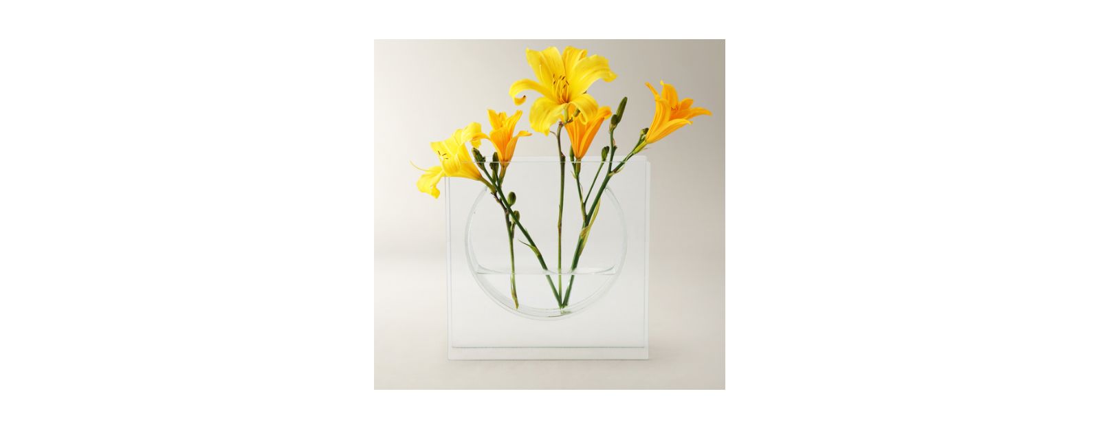 Z Gallerie Solaris Small Sculptural Clear Glass Vase - 9.84 x 2.2 x 9.84 in